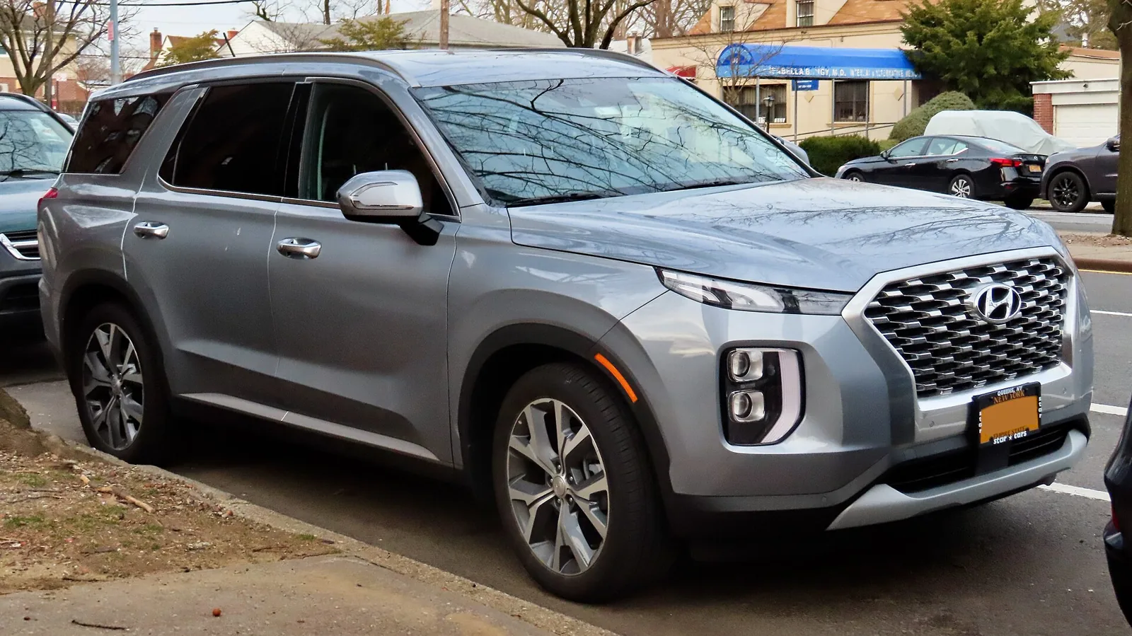 2020–2025 Hyundai Palisade — roof racks & crossbars guide